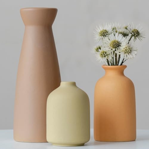 Distressed Ceramic Vase Set of 3 Modern Bohemian Decor