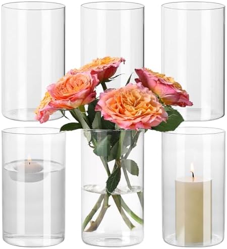 6 Pack Clear Glass Cylinder Vase for Table Centerpieces