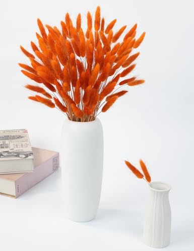Xins Convey 120pcs Bunny Tail Dried Flowers 16 Inch Burnt Orange