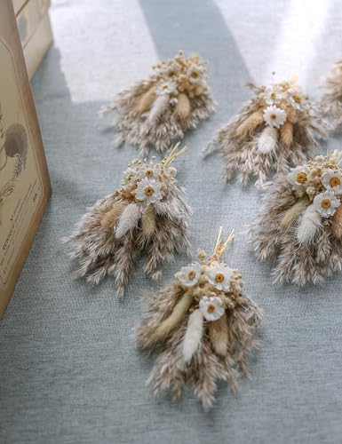 Xins Convey Mini Dried Flower Bouquet Set of 6 Brown