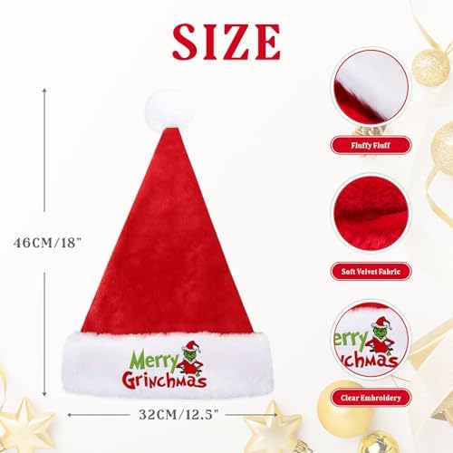 Funny Christmas Santa Hat for Adults and Kids