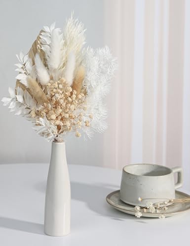 Xins Convey Dried Flowers with Ceramic Vase Set Brown