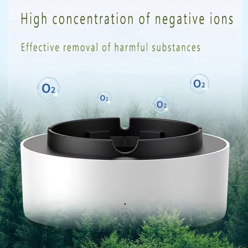 2-in-1 Air Purifier Ashtray for Indoor Outdoor Use