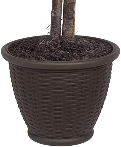 Vickerman 4 Foot Artificial Japanese Maple Bush with Decorative Container