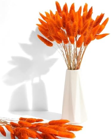 Xins Convey 120pcs Bunny Tail Dried Flowers 16 Inch Burnt Orange