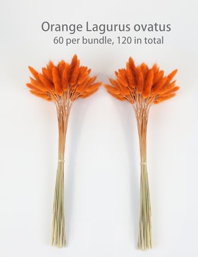 Xins Convey 120pcs Bunny Tail Dried Flowers 16 Inch Burnt Orange