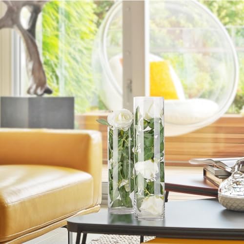 WGVI Thick Weighted Clear Cylinder Glass Vase 4 x 12