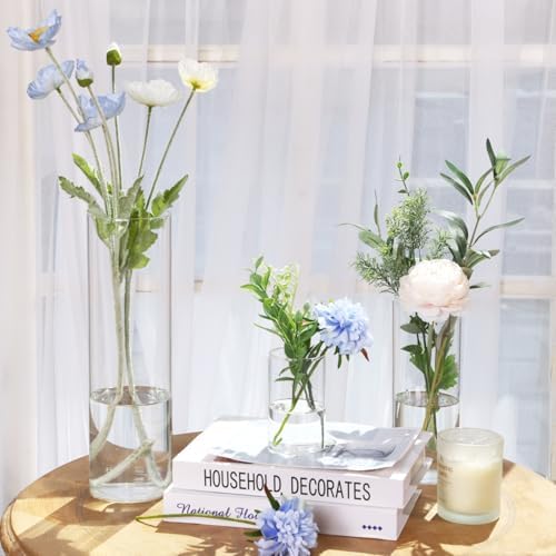 Fixwal 3 Pack Clear Glass Cylinder Vases 4 8 12 Inch
