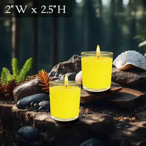 6 Pack 2oz Citronella Candles in Glass Jars