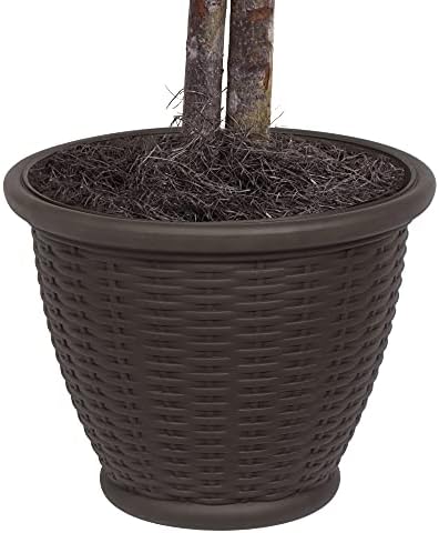 Vickerman 4 Foot Artificial Silver Maple Bush with Brown Container