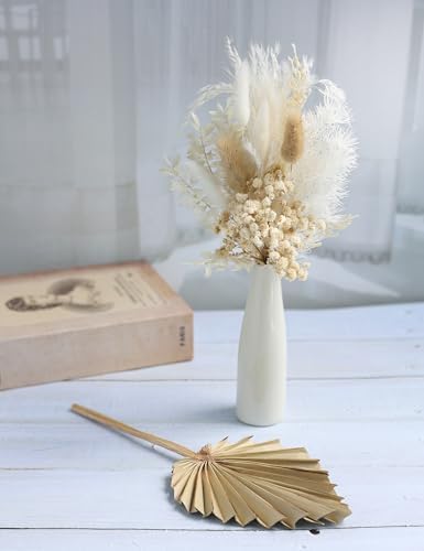 Xins Convey Dried Flowers with Ceramic Vase Set Brown