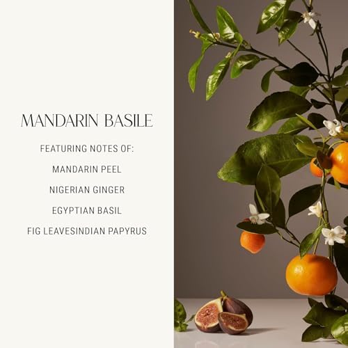 Homecourt Luxury Scented Candle in Mandarin Basile