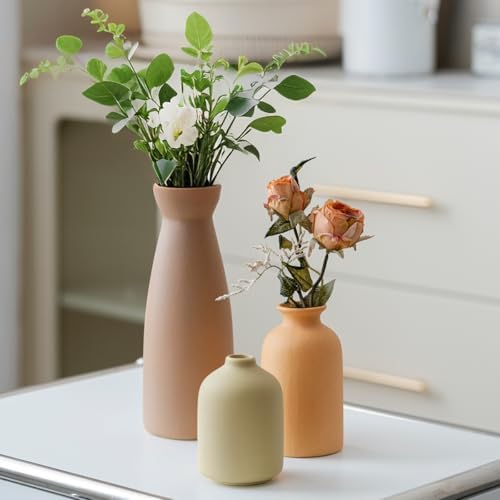 Distressed Ceramic Vase Set of 3 Modern Bohemian Decor