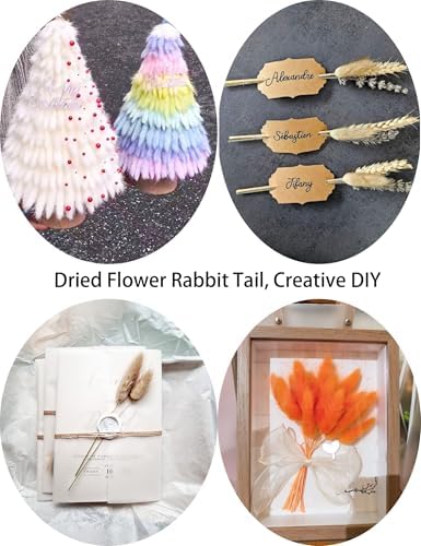 Xins Convey 120pcs Bunny Tail Dried Flowers 16 Inch Burnt Orange