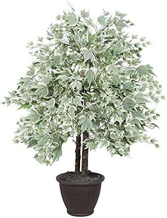 Vickerman 4 Foot Artificial Silver Maple Bush with Brown Container