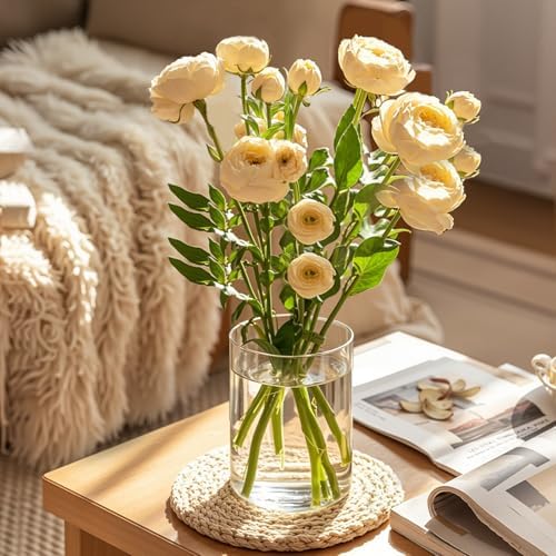 5 Inch Clear Cylinder Vases Set 12pcs for Centerpieces