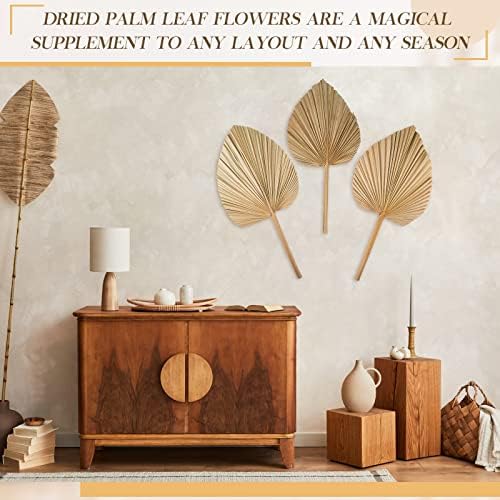 Fabbay 8 Piece 20x9 Inch Dried Palm Leaves Decor