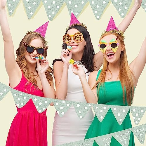 Funny Party Sunglasses 9 Pack for Events and Photo Booth