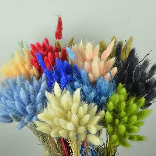 Ochine 50 Pcs Dried Lagurus Ovatus Bouquet