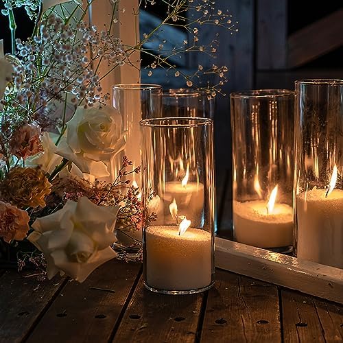 6 Pack Clear Glass Cylinder Vase for Table Centerpieces