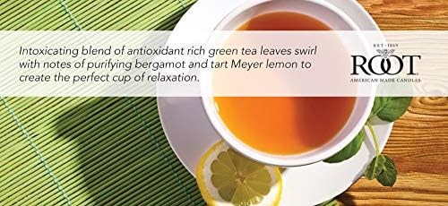 Root Candles Honeycomb Traveler Scented Beeswax Candle