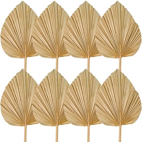 Fabbay 8 Piece 20x9 Inch Dried Palm Leaves Decor