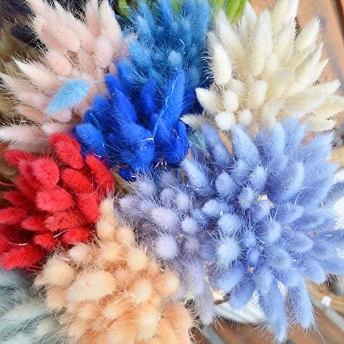 Ochine 50 Pcs Dried Lagurus Ovatus Bouquet