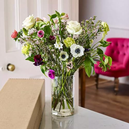 6 Pack Clear Glass Cylinder Vase for Table Centerpieces