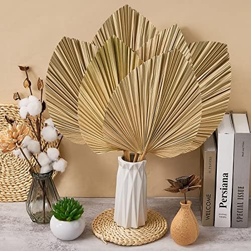 Fabbay 8 Piece 20x9 Inch Dried Palm Leaves Decor