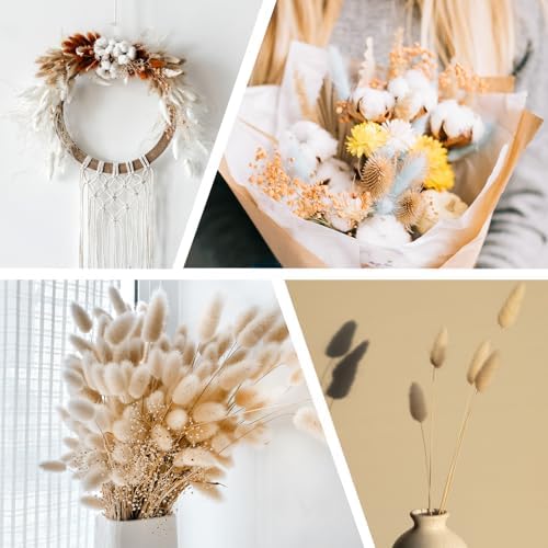 PATIKIL 157in Light Blue Bunny Tails Dried Flowers Decor