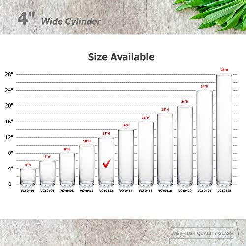 WGVI Thick Weighted Clear Cylinder Glass Vase 4 x 12