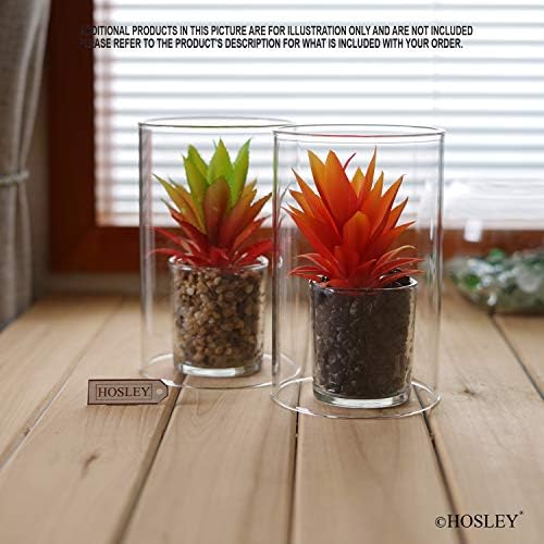 Hosley Set of 2 Clear Glass Hurricane Candle Holders