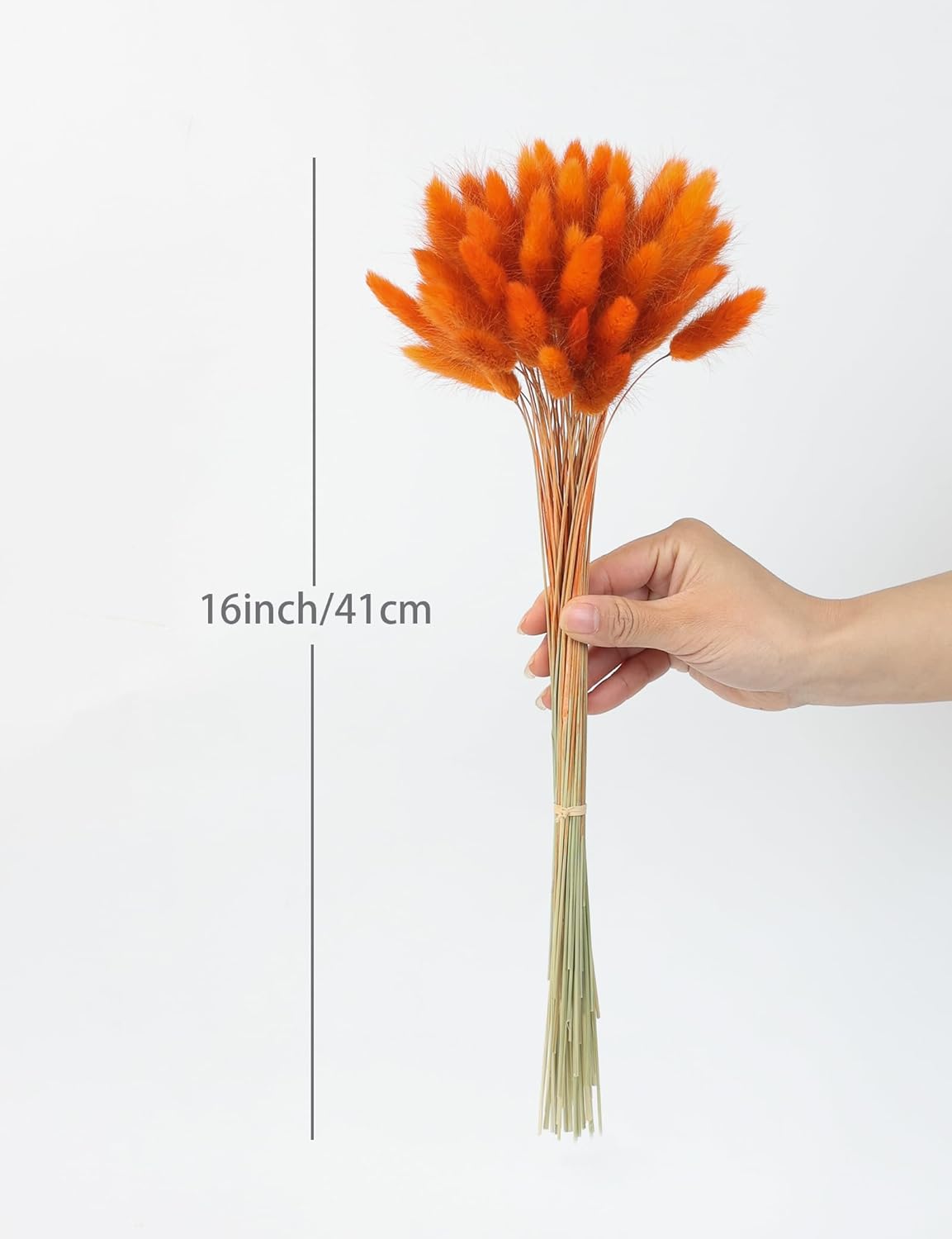 Xins Convey 120pcs Bunny Tail Dried Flowers 16 Inch Burnt Orange