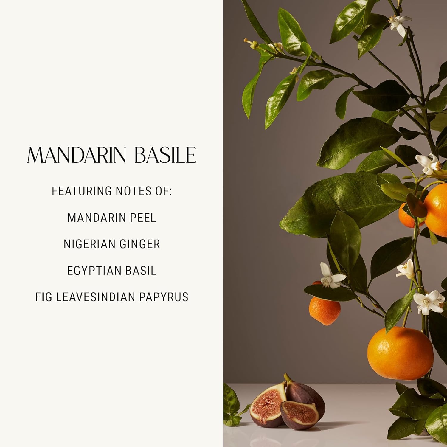 Homecourt Luxury Scented Candle in Mandarin Basile