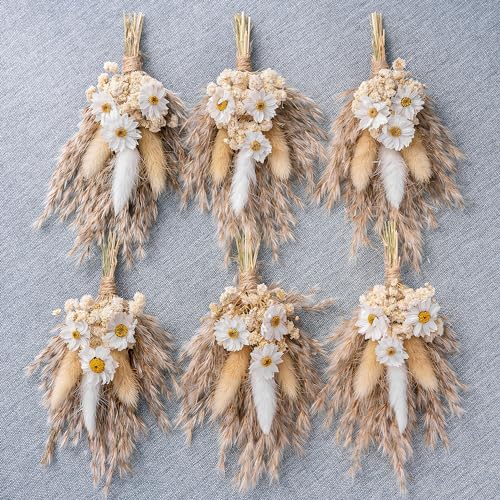 Xins Convey Mini Dried Flower Bouquet Set of 6 Brown