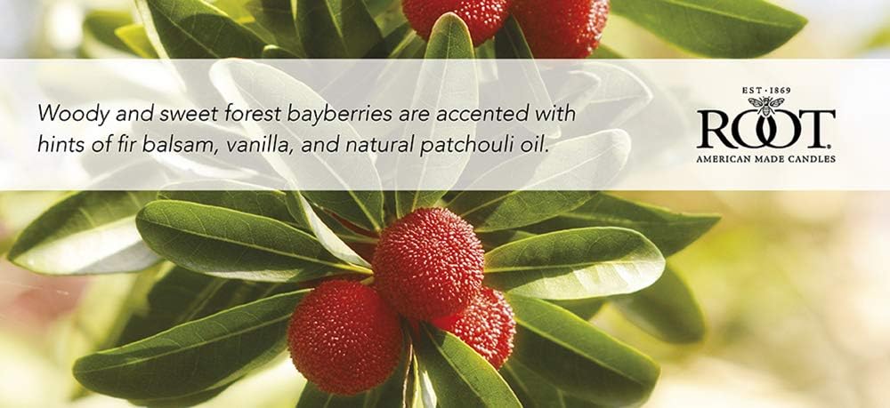 Root Candles Honeycomb Traveler Scented Beeswax Candle Bayberry 4 Ounce