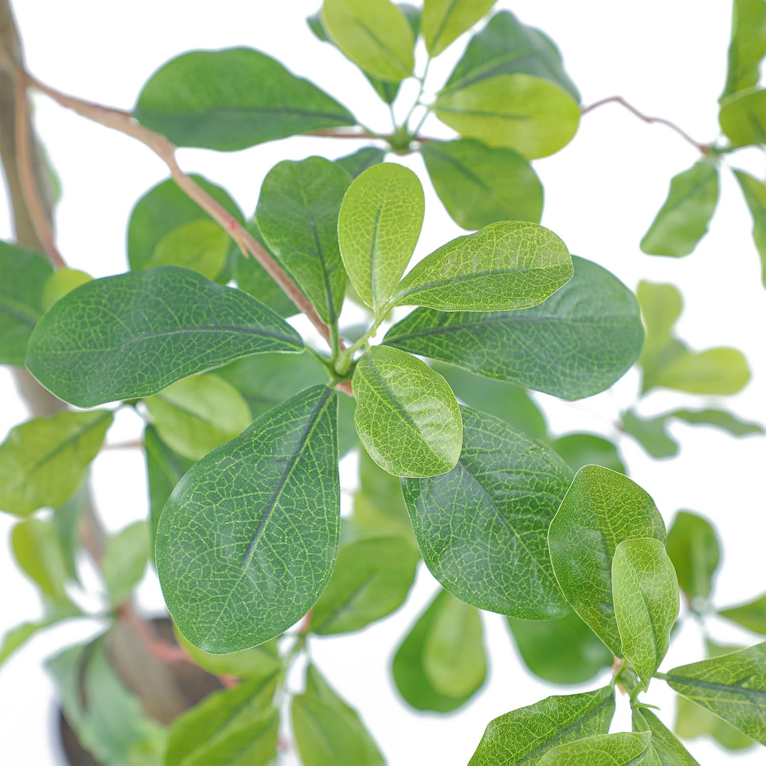 Bellacat Faux Black Olive Tree 7ft Indoor Dcor