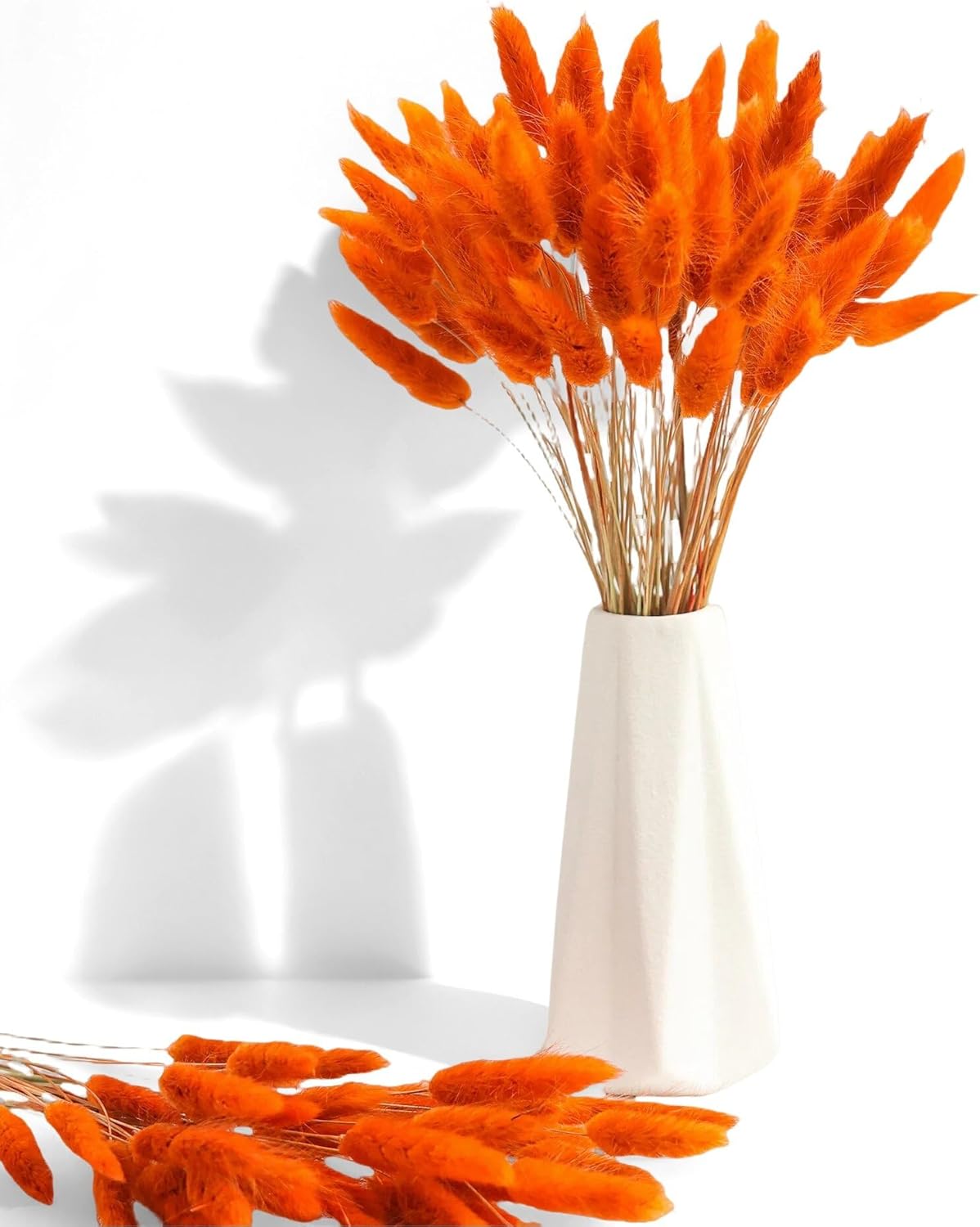 Xins Convey 120pcs Bunny Tail Dried Flowers 16 Inch Burnt Orange