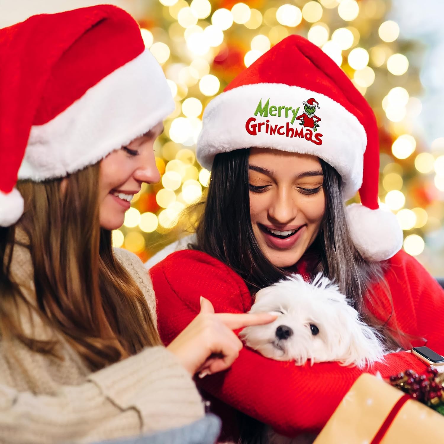 Funny Christmas Santa Hat for Adults and Kids
