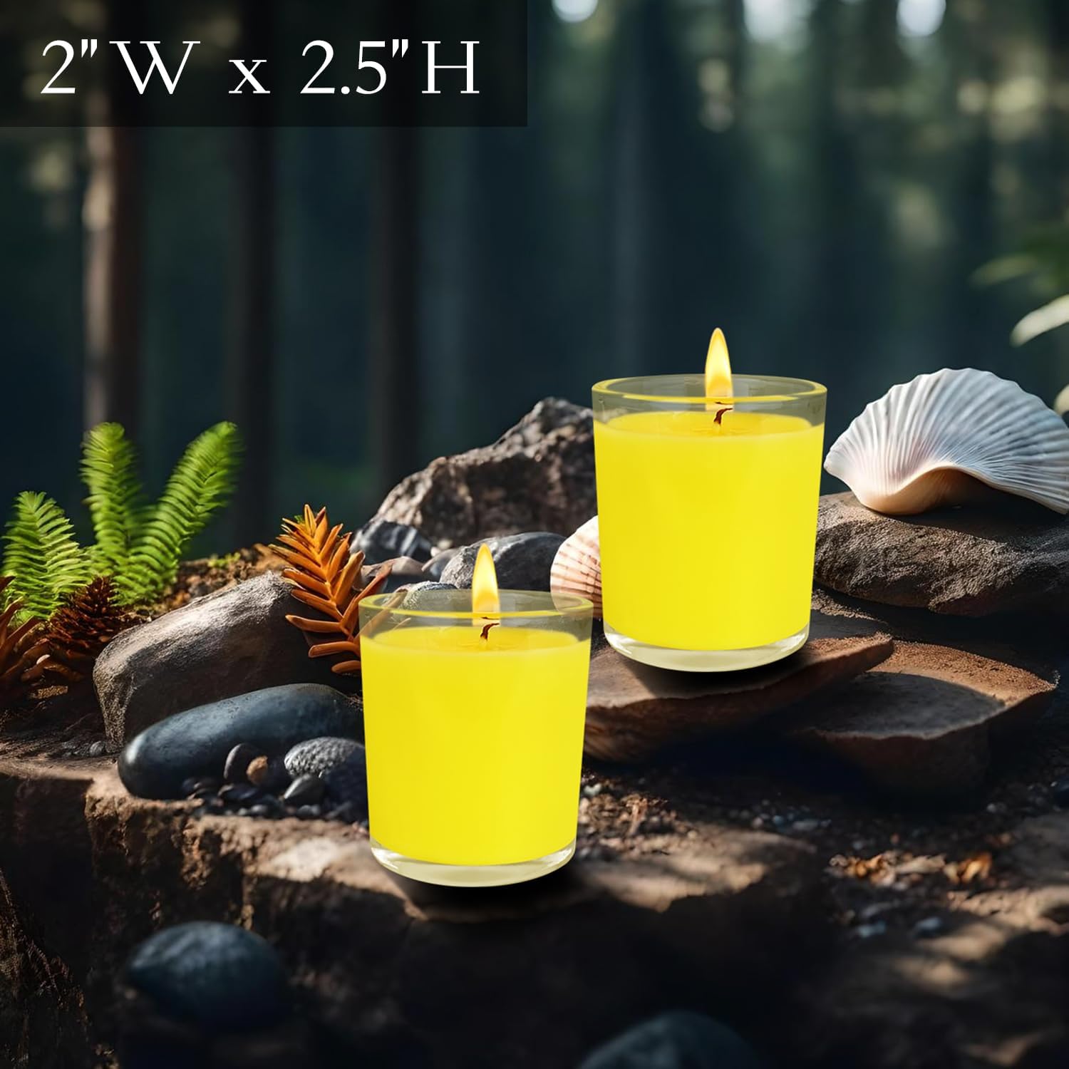 6 Pack 2oz Citronella Candles in Glass Jars