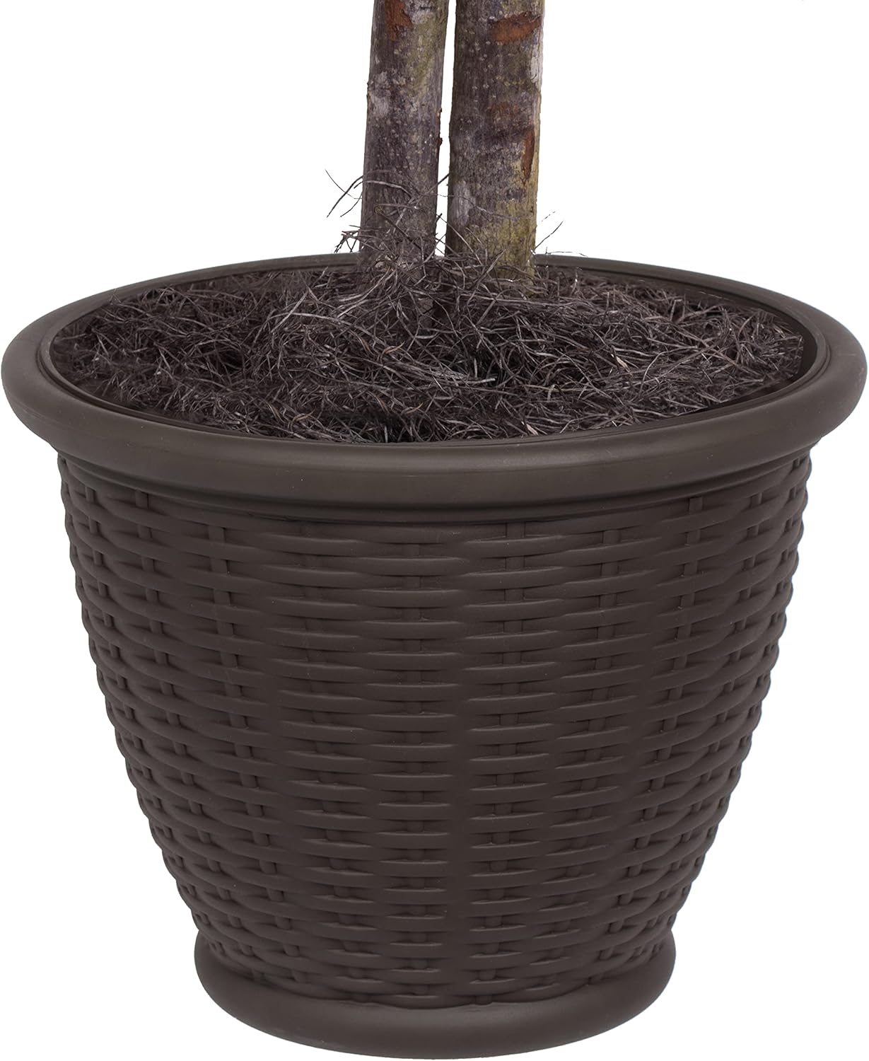 Vickerman 4 Foot Artificial Japanese Maple Bush with Decorative Container