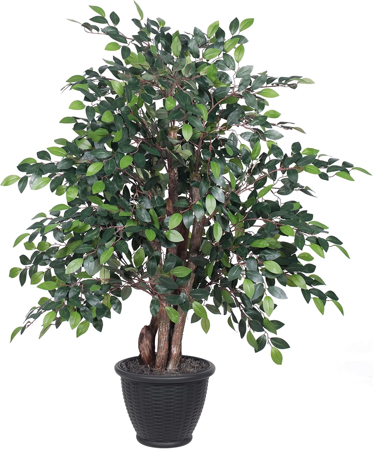 Vickerman 4 Foot Artificial Mini Ficus Bush