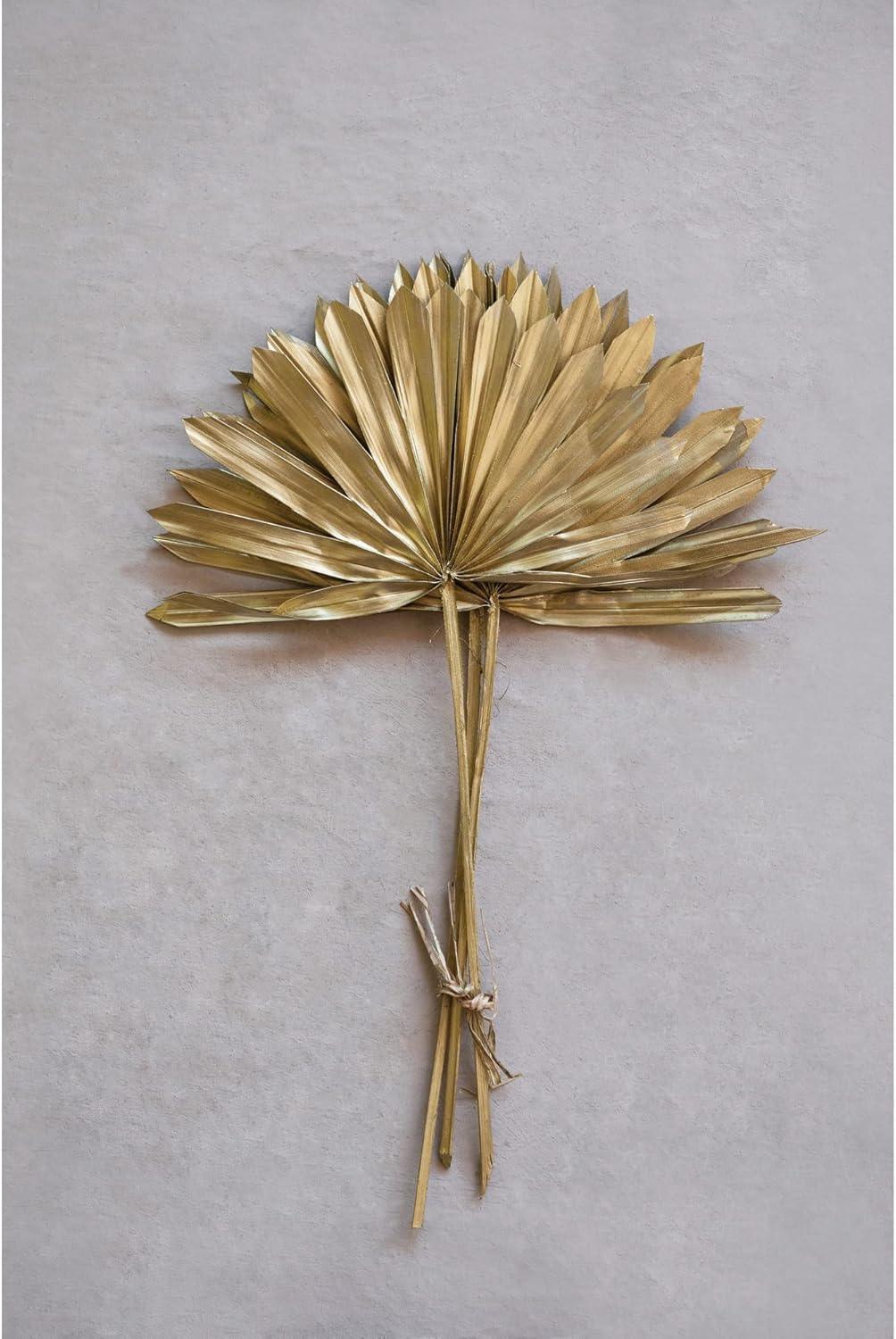 Creative Co Op Dried Sun Cut Palm Bunch in Gold Finish