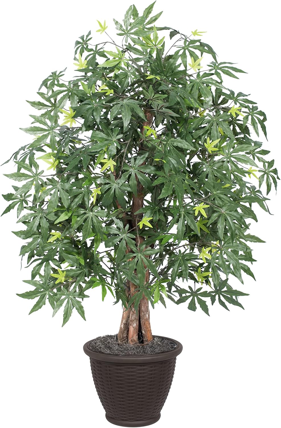 Vickerman 4 Foot Artificial Japanese Maple Bush with Decorative Container