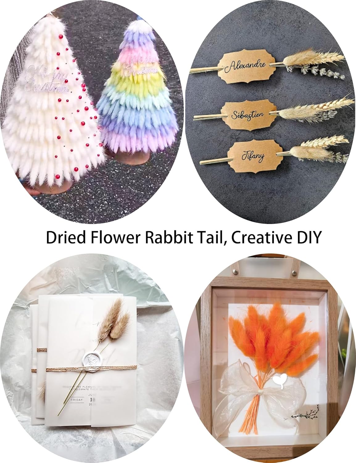 Xins Convey 120pcs Bunny Tail Dried Flowers 16 Inch Burnt Orange